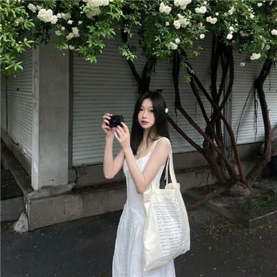 我私人的爱达荷
