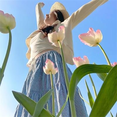 柯明斯基理论第一季